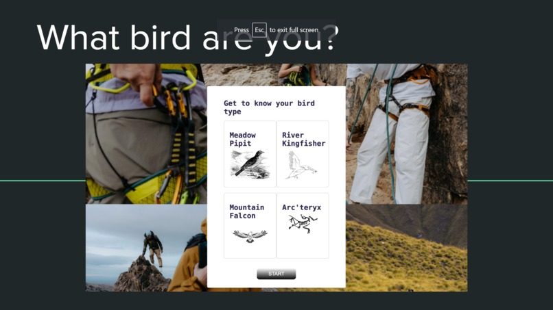 Aviary – screenshot 3