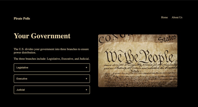 Hackathon-Pirate Polls – screenshot 2