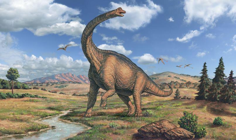 DinoDetector: Unearth the Past – screenshot 1