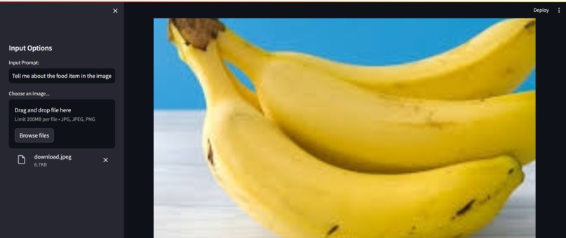 AROGYA AI – screenshot 2