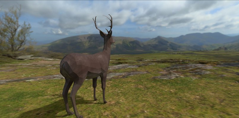 Wild Life Simulation – screenshot 1