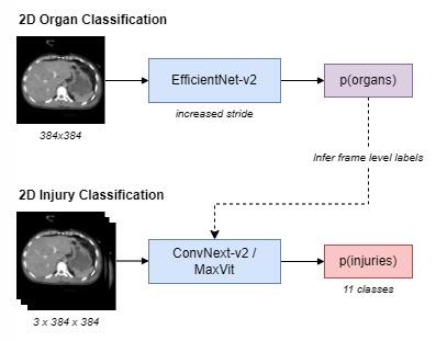 Frame Sampling Strategy for 3D Medical Image Analysis – screenshot 1