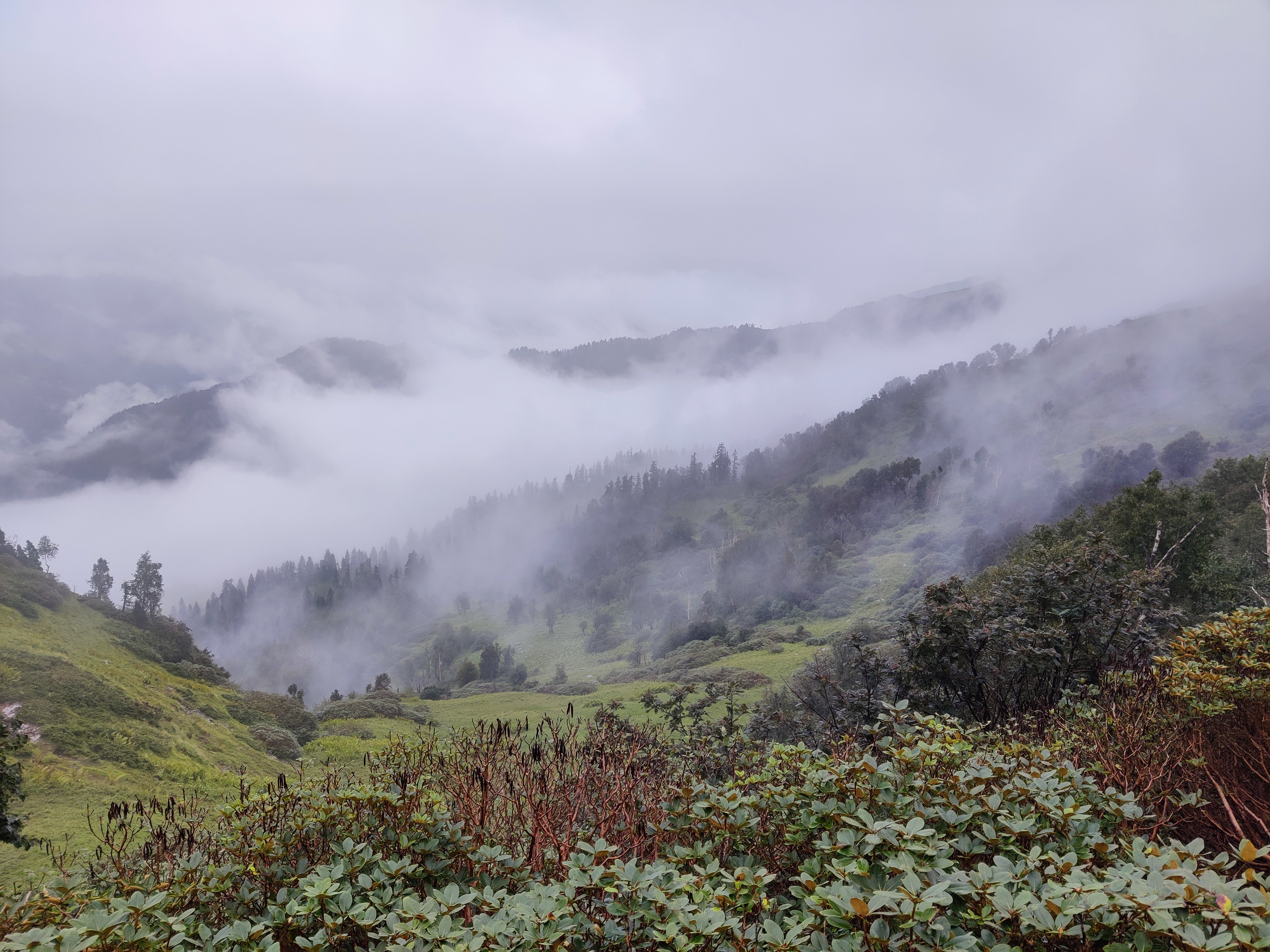 Phulara Ridge Trek Package | Devpost