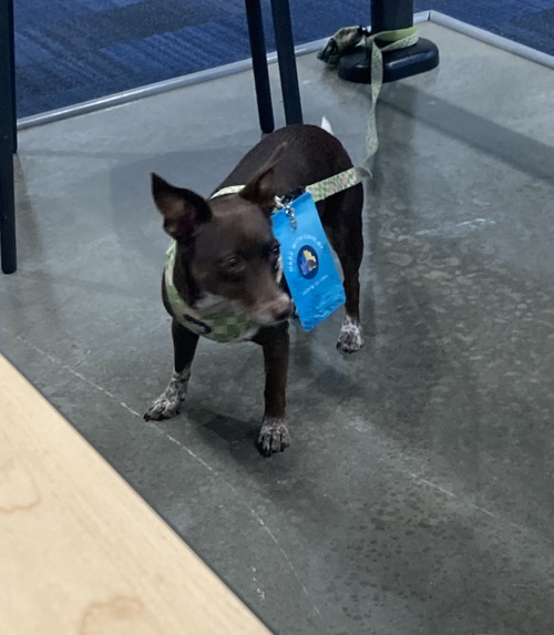 QRV DataMariner: Diving into Procurement! – screenshot 6