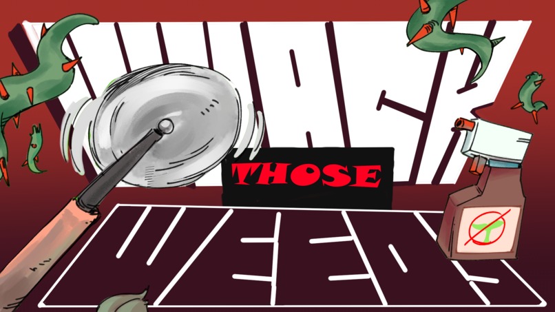 Whack Those Weeds! – screenshot 2