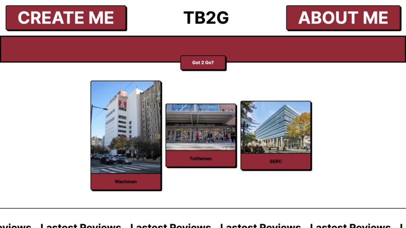 Temple Bathroom 2 Go - TB2G – screenshot 1