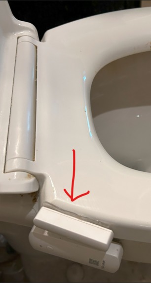 LooRPM- Remote monitoring of patient toilet usage – screenshot 1