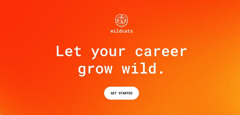 Wildcats – screenshot 1