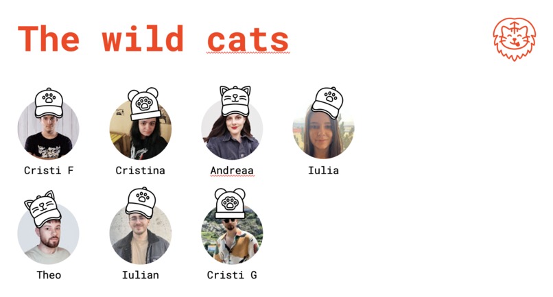 Wildcats – screenshot 2