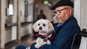 The Service Animal Directory  – screenshot 2