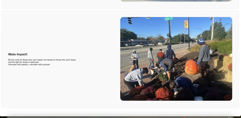 VoluTree – screenshot 4