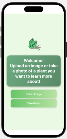 Touching Grass  – screenshot 1