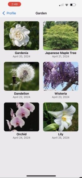 Gardenia – screenshot 6