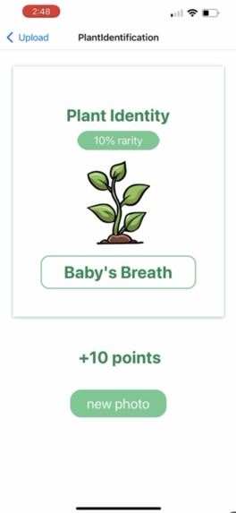 Gardenia – screenshot 4