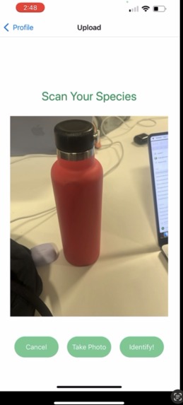 Gardenia – screenshot 8