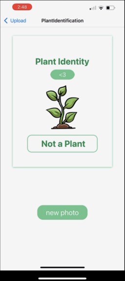 Gardenia – screenshot 9