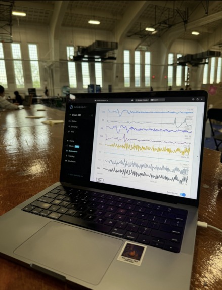 MindMesh – screenshot 3