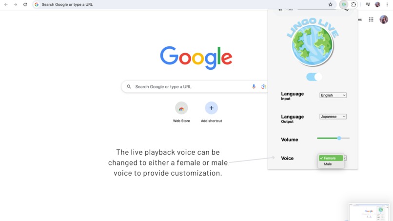 Lingo Live – screenshot 5