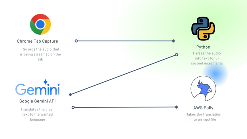 Lingo Live – screenshot 2