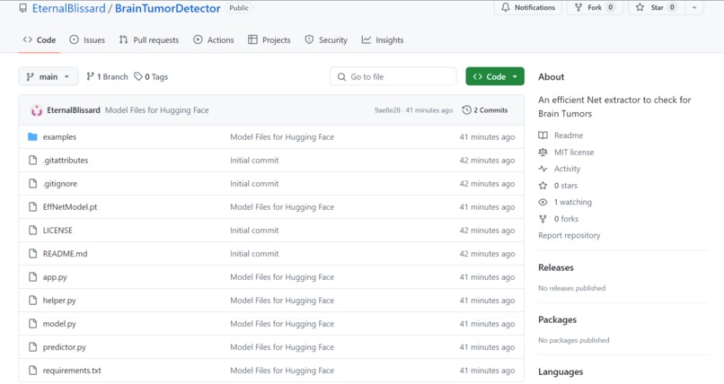 Brain Tumor Detector – screenshot 4