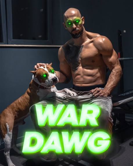 War Dawg – screenshot 3