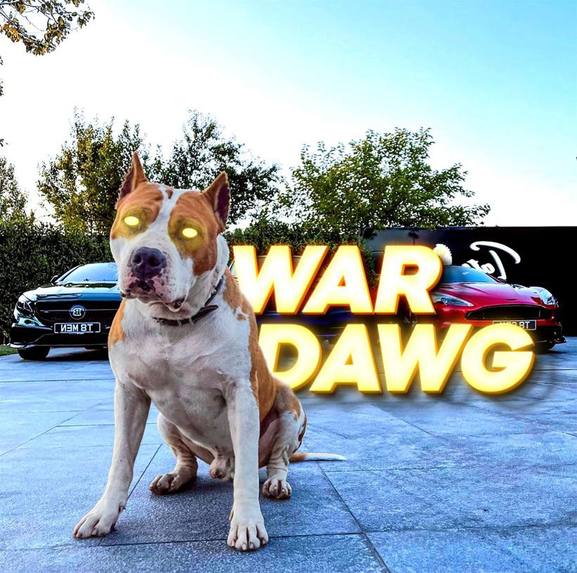 War Dawg – screenshot 4