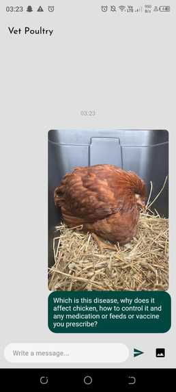 Poultry Guard – screenshot 25