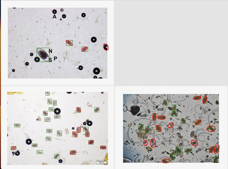 Eggs By The Dozen – screenshot 2