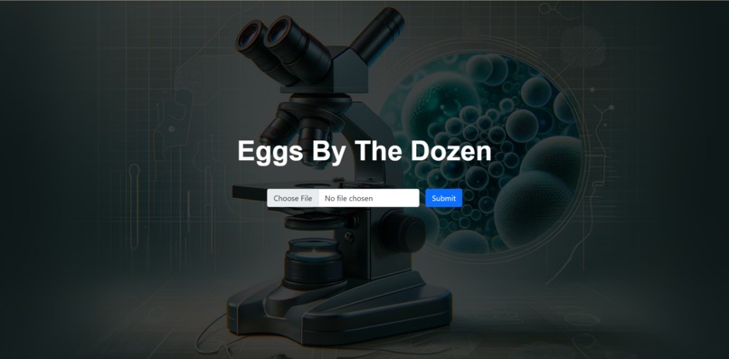Eggs By The Dozen – screenshot 1