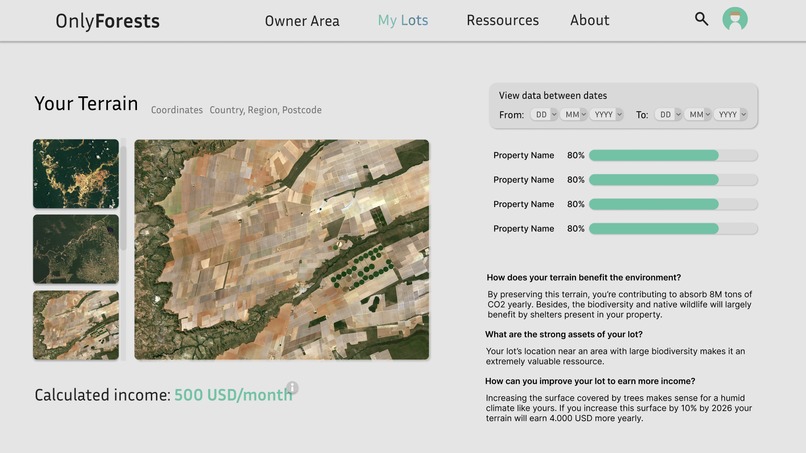 OnlyForests – screenshot 4