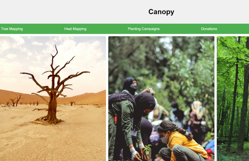 Canopy – screenshot 6