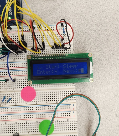 Bearly Asleep? – screenshot 2