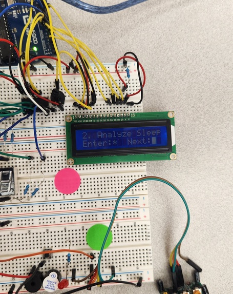 Bearly Asleep? – screenshot 5