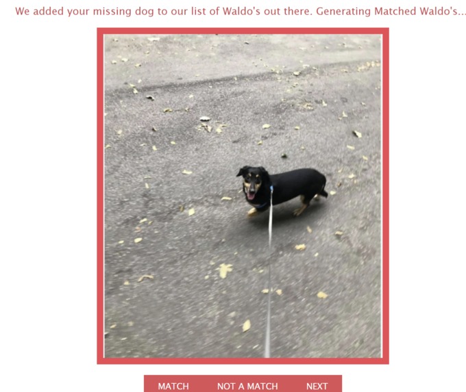 Where's my Waldo? – screenshot 5
