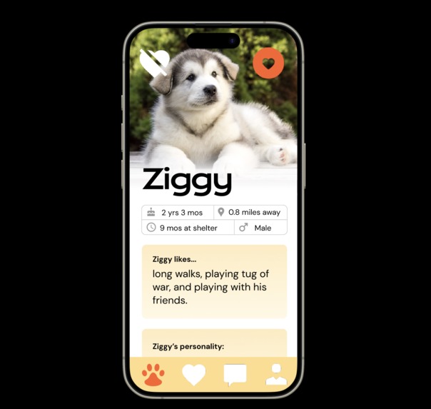 Purrfect Match – screenshot 3