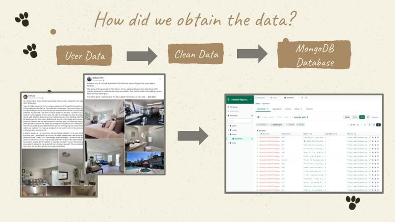 House Cat – screenshot 3