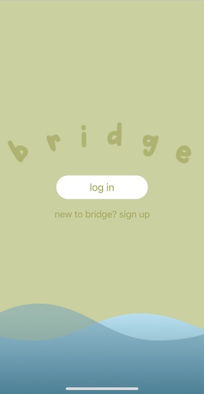 Bridge – screenshot 1