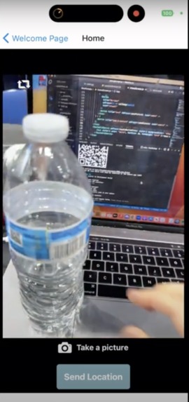 Kaimmunity (Life of Kai - Find Fido Fast) – screenshot 3