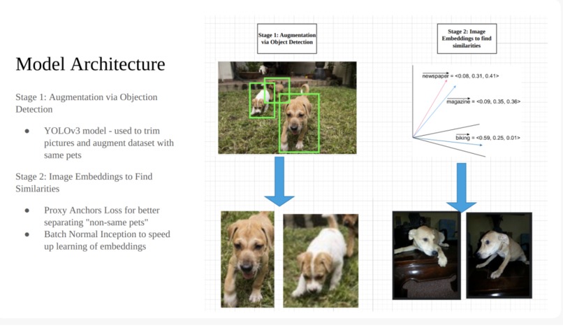 Kaimmunity (Life of Kai - Find Fido Fast) – screenshot 6