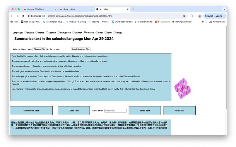 Summarize and translate text  – screenshot 3