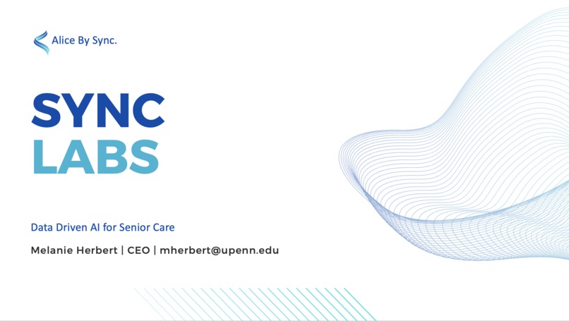 Sync Labs – screenshot 1