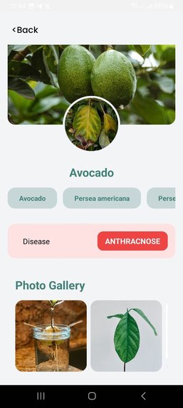 GebereKoo – screenshot 4