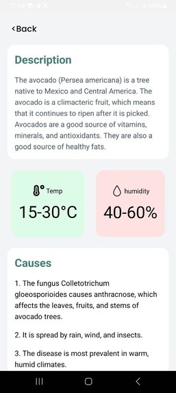 GebereKoo – screenshot 5