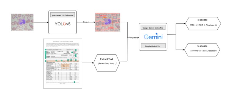 HemoCountAI – screenshot 4