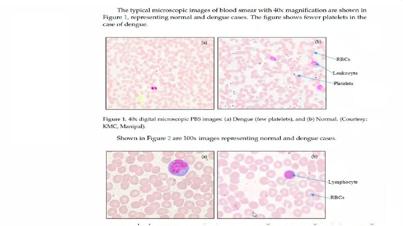 DRAVT – screenshot 3