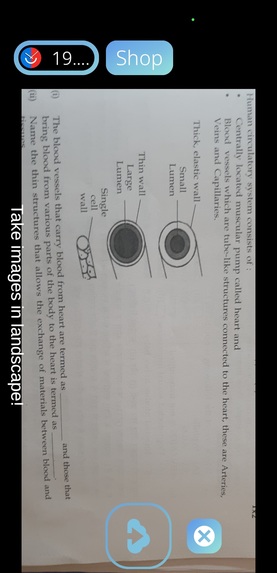 StudyBuddy: Multilingual AI Talking Avatar Study Aid – screenshot 8