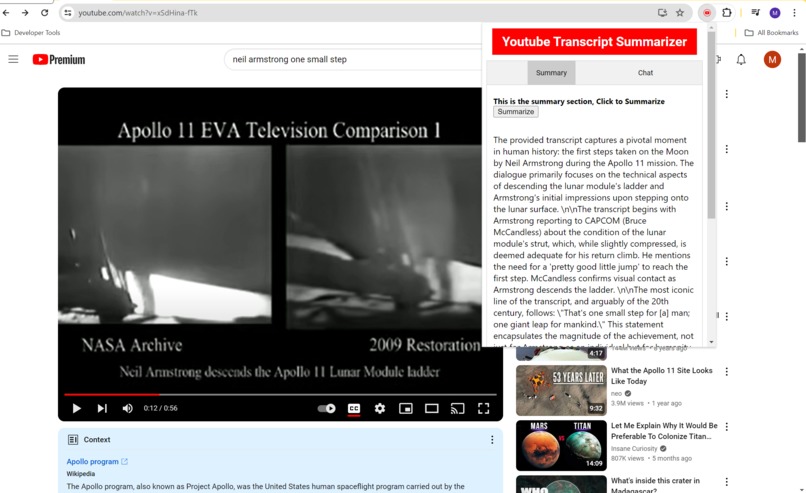 YouTube Agent – screenshot 2
