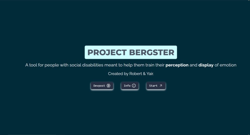 Project Bergster – screenshot 2