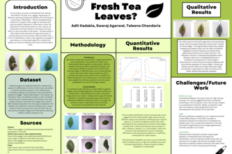 Fresh Tea Leaves? 