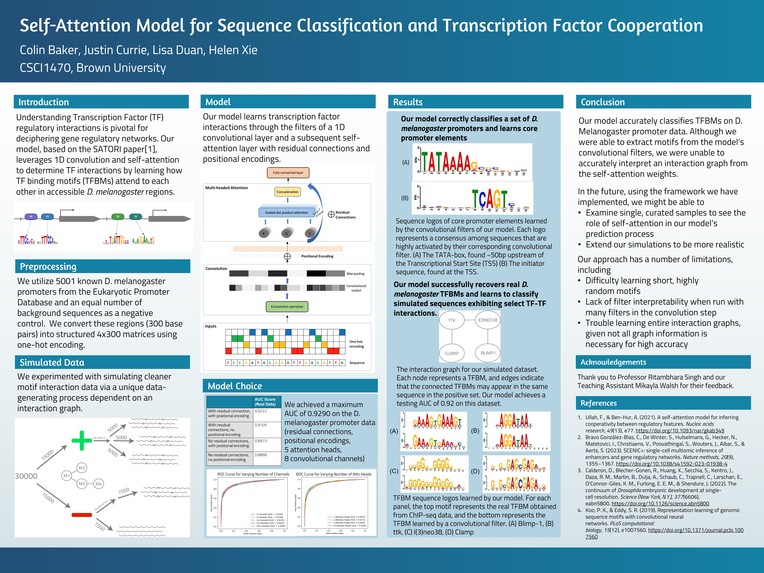 Identifying Transcription Factor Cooperation with Attention – screenshot 1